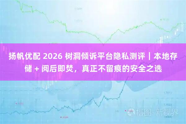 扬帆优配 2026 树洞倾诉平台隐私测评｜本地存储 + 阅后即焚，真正不留痕的安全之选