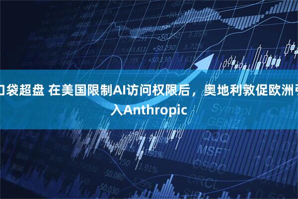 口袋超盘 在美国限制AI访问权限后，奥地利敦促欧洲引入Anthropic